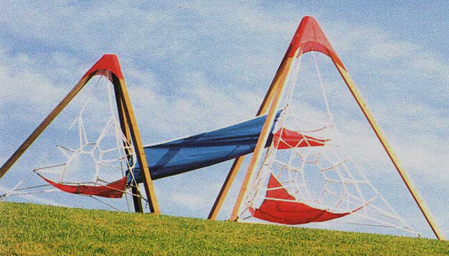 Picture of Large and Small Tetras
with Slide